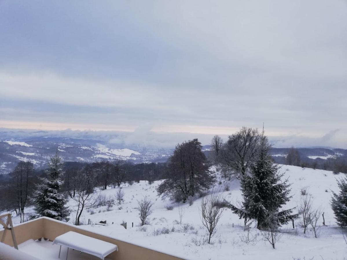 Pensiune Runcu Stone Exteriér fotografie