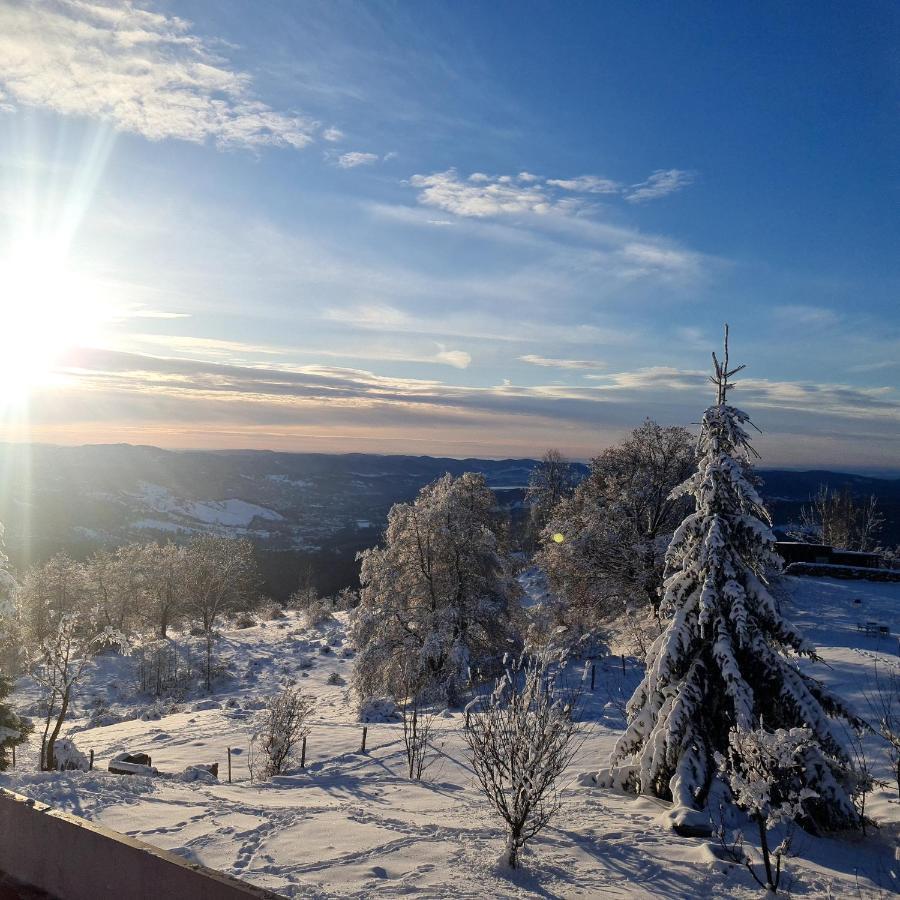 Pensiune Runcu Stone Exteriér fotografie