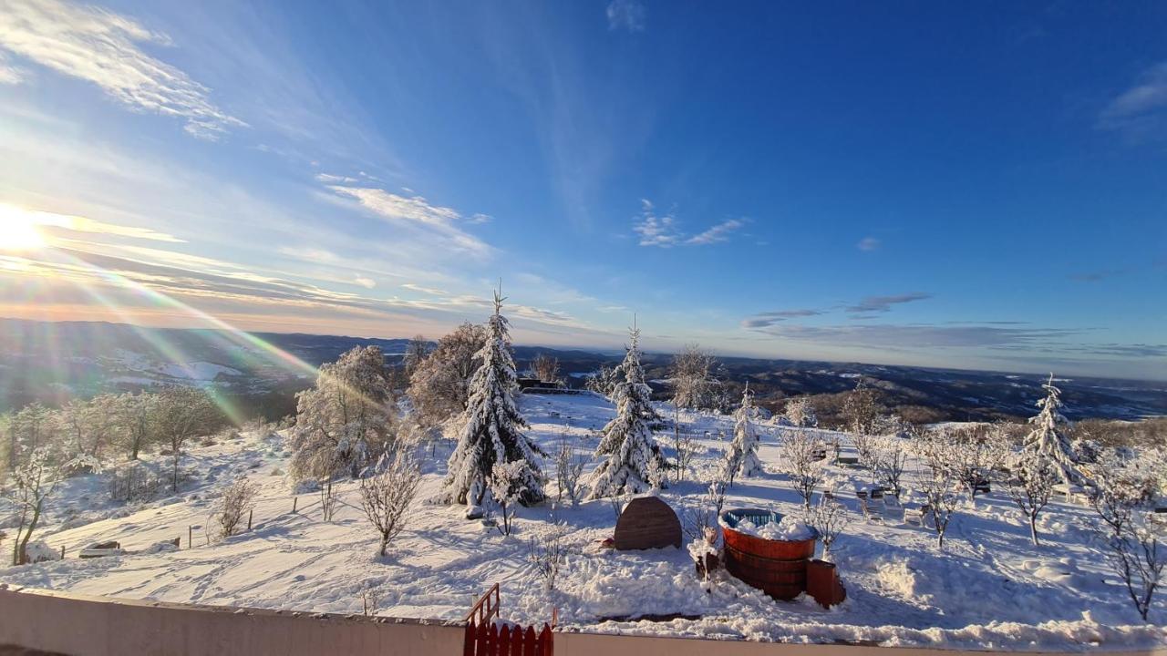 Pensiune Runcu Stone Exteriér fotografie