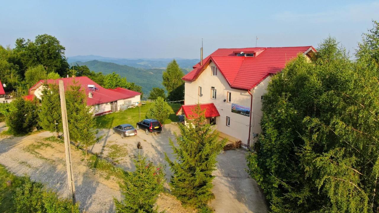Pensiune Runcu Stone Exteriér fotografie
